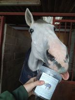 259640031_482559039745271_717693074682220414_n